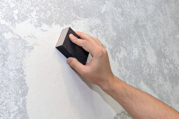 Best Air Quality Testing for Mold Spores  in Brookwood, AL