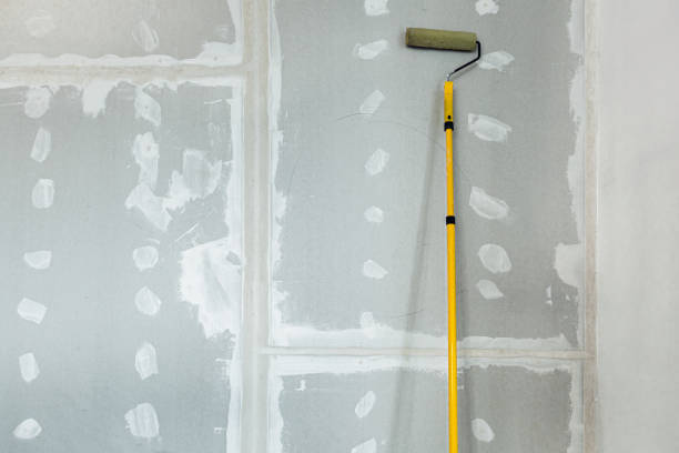 Best Mold Damage Restoration  in Brookwood, AL