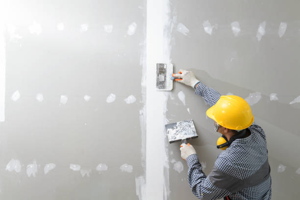 Best HVAC Mold Inspection and Cleaning  in Brookwood, AL