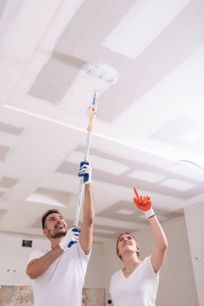 Best Black Mold Removal  in Brookwood, AL