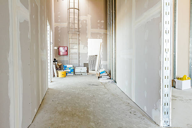 Best Mold Remediation for Healthcare Facilities  in Brookwood, AL